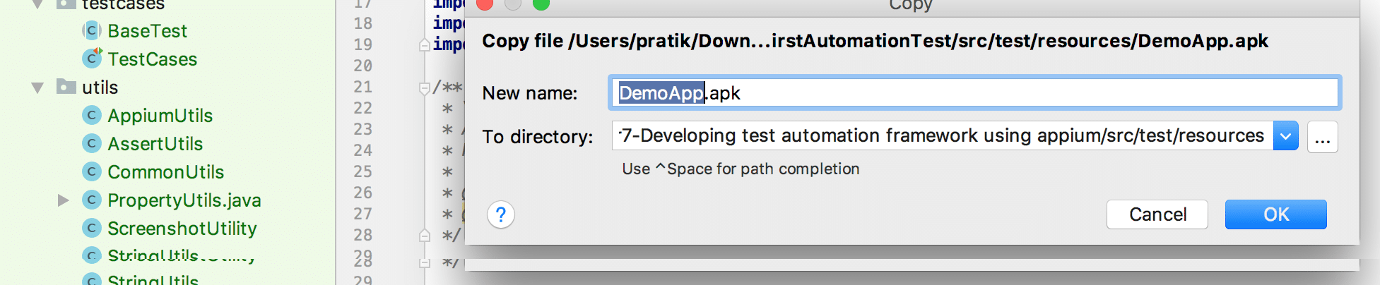 image of coping local apk file
